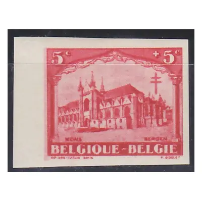 Belgie - 1928 Tuberkuloza Mi. 244 - Nezoubkovaná - svěží