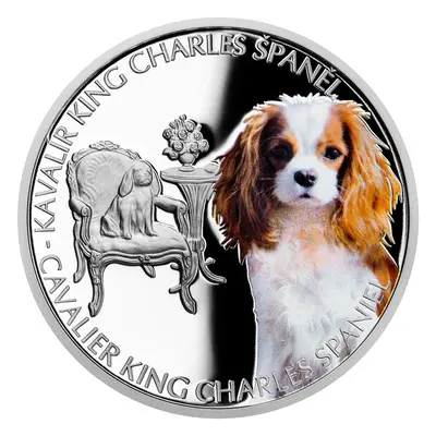 Série Psí Plemena - Kavalír King Charles Španěl - 1 Oz Kolorovaná