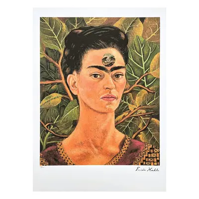 Frida Kahlo - Certifikacefotografie Signováno 39/250 Oro Cartier