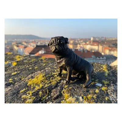 Bronzová socha soška - Mops soška z bronzu figurka