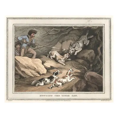 Ocelot lov Orme akvatinta 1813