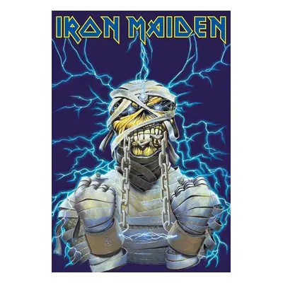 Iron Maiden - dekorační kovová cedule Eddie