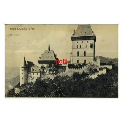 Karlštejn - Hrad Karlův Týn /275988/