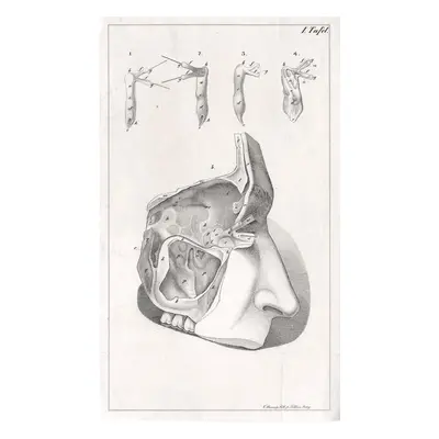 Anatomie I litografie (1850)