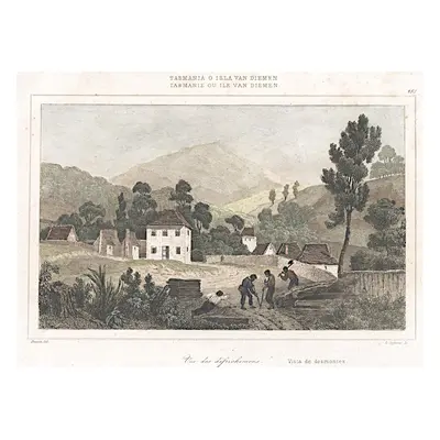 Tasmanie Rienzi kolor. oceloryt1836