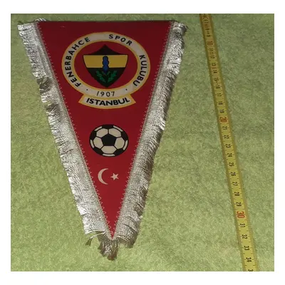 Vlaječka - Fenerbahce Istanbul