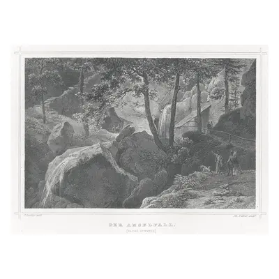 Amselfall Rohbock oceloryt 1870