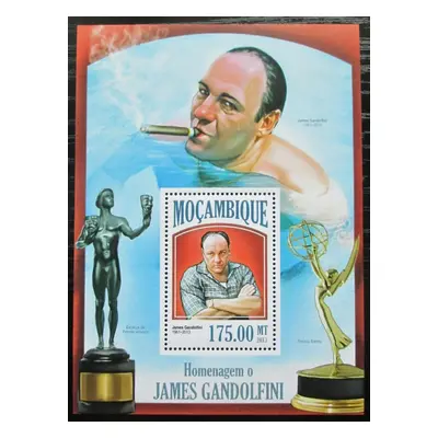 Mosambik 2013 James Gandolfini herec Mi Block 815 Kat 10 2440