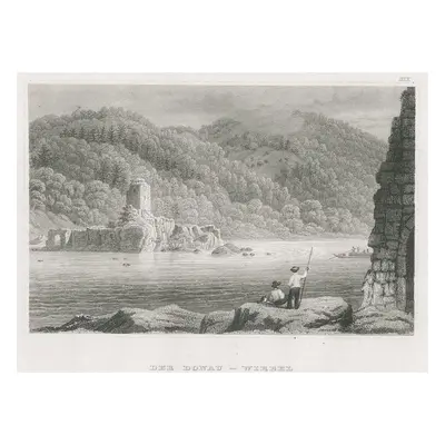 Donau Wirbel Meyer oceloryt 1850