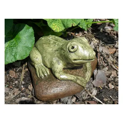 Žába střední - mrazuvzdorná dekorace k jezírku Frosch auf einem Stein