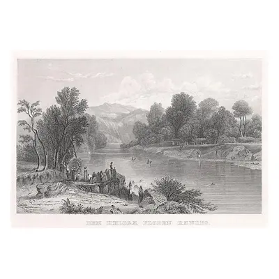 Ganga oceloryt (1860)