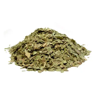 Bylík Ginkgo biloba list 400g