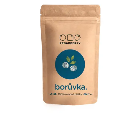 Orio 21 Chytré ovoce REBARBERRY Borůvka 50 g