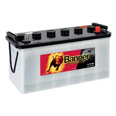 Banner Buffalo Bull 12V 100Ah 600A 600 26