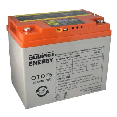 GOOWEI ENERGY OTD75 75Ah 12V