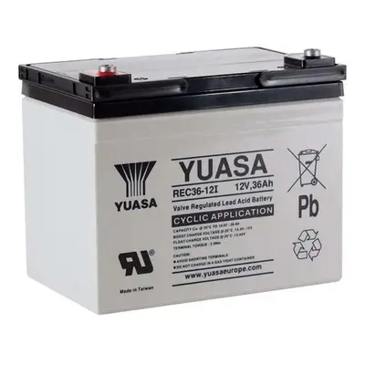 Yuasa 12V 36Ah REC36-12