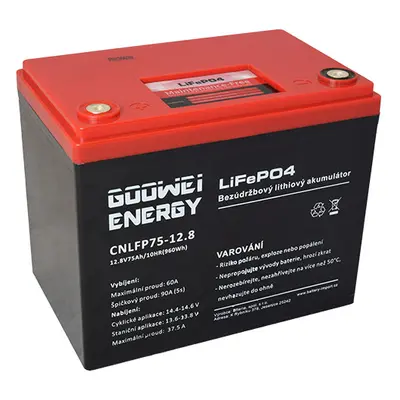 GOOWEI ENERGY CNLFP75-12.8 75Ah 12.8V