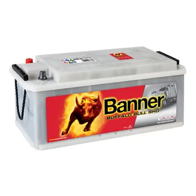 Banner Buffalo Bull SHD 12V 170Ah 1000A SHD 670 33