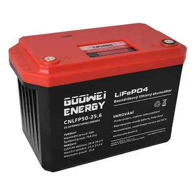 GOOWEI ENERGY CNLFP50-25.6 50Ah 25.6V