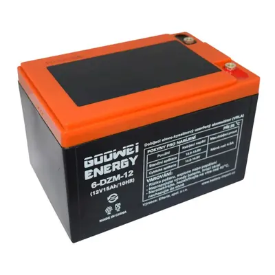 GOOWEI ENERGY 6-DZM-12 15Ah 12V