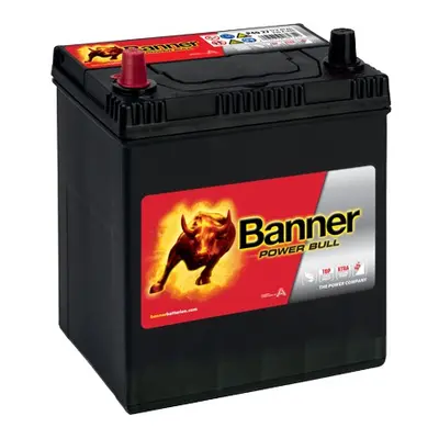 Banner Power Bull 12V 40Ah 300A P40 27