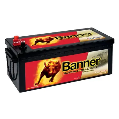 Banner Buffalo Bull SHD PROfessional 12V 225Ah 1150A 725 03