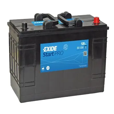 Exide Professional 12V 125Ah 640A EG1250