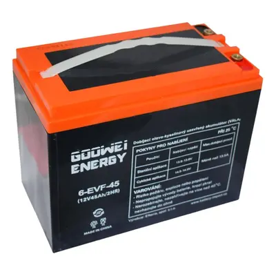 GOOWEI ENERGY 6-EVF-45 45Ah 12V