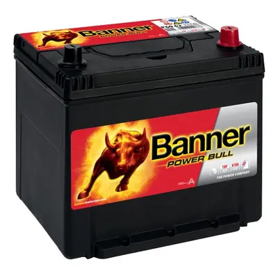 Banner Power Bull 12V 60Ah 510A P60 62