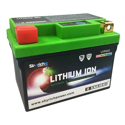 Skyrich Lithium LFP02Z