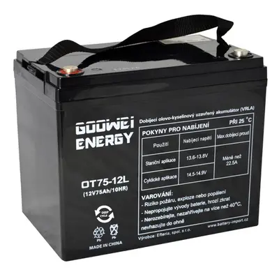 GOOWEI ENERGY OTL75-12 75Ah 12V