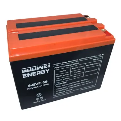 GOOWEI ENERGY 6-EVF-55 55Ah 12V