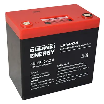 GOOWEI ENERGY CNLFP50-12.8 50Ah 12.8V