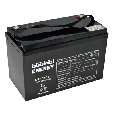 GOOWEI ENERGY OTL100-12 100Ah 12V