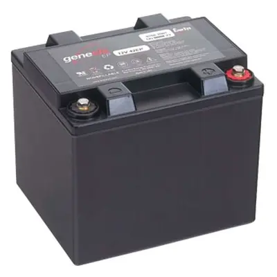 ENERSYS Baterie Genesis G42EP, 42Ah, 12V