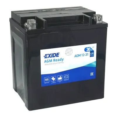 Exide AGM12-31