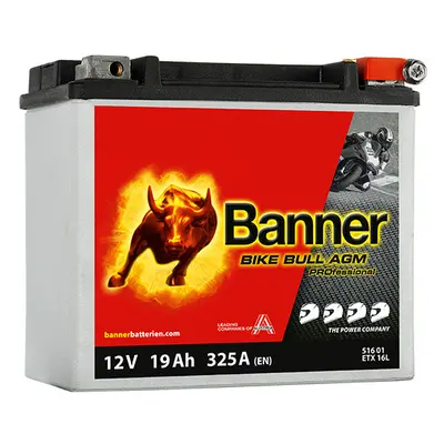 Banner AGM PRO 516 01