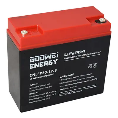 GOOWEI ENERGY CNLFP20-12.8 20Ah 12.8V