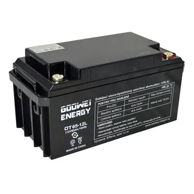 GOOWEI ENERGY OTL65-12 65Ah 12V