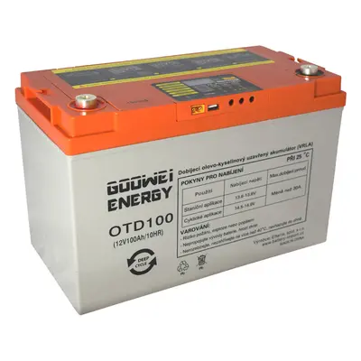 GOOWEI ENERGY OTD100 100Ah 12V