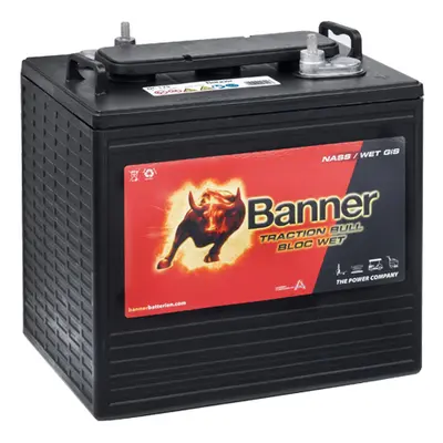 Trakční baterie Banner DC125 (T 125 Plus), 240Ah, 6V