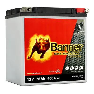 Banner AGM PRO 530 01