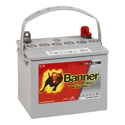 Trakční baterie Banner Dry Bull DB 31, 31.6Ah, 12V