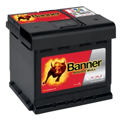 Banner Power Bull 12V 44Ah 420A P44 09