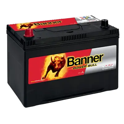 Banner Power Bull 12V 95Ah 740A P95 05