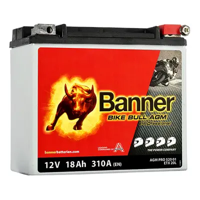 Banner AGM PRO 520 01