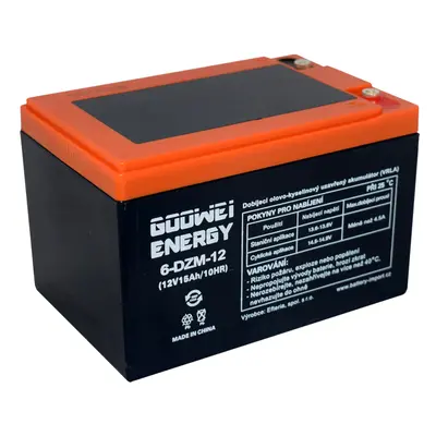 Trakční (GEL) baterie GOOWEI ENERGY 6-DZM-12 15Ah 12V