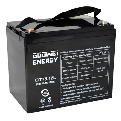 Trakční (GEL) baterie GOOWEI ENERGY OTL75-12 75 Ah 12V