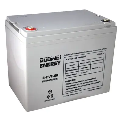 GOOWEI ENERGY 12V 80Ah 6-EVF-80