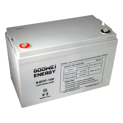 GOOWEI ENERGY 12V 100Ah 6-EVF-100